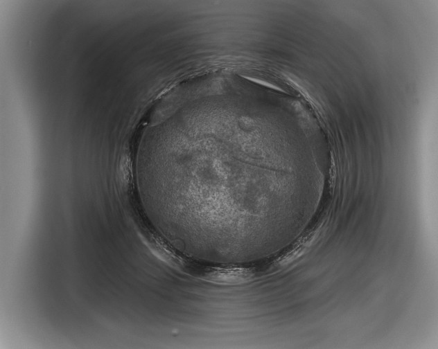 X0000116590459200912171557