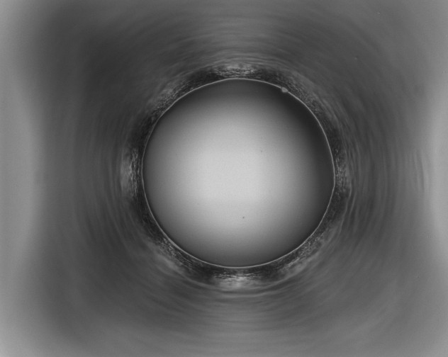 X0000116590460200912171557