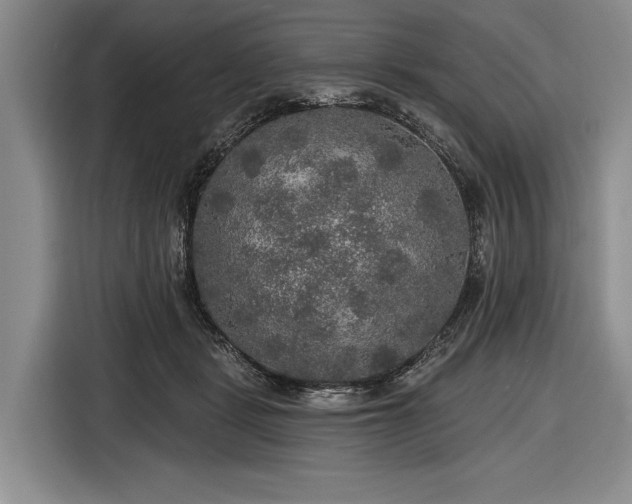 X0000116590461200912171557