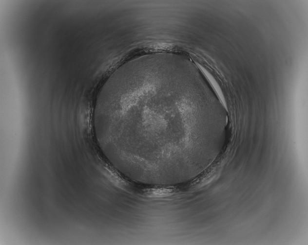 X0000116590462200912171557