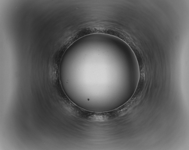 X0000116590464200912171557