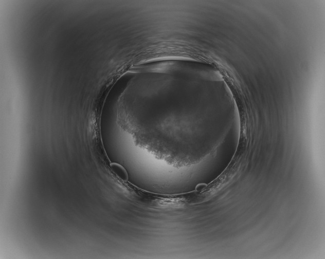 X0000116590465200912171557