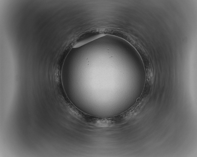 X0000116590470200912171557