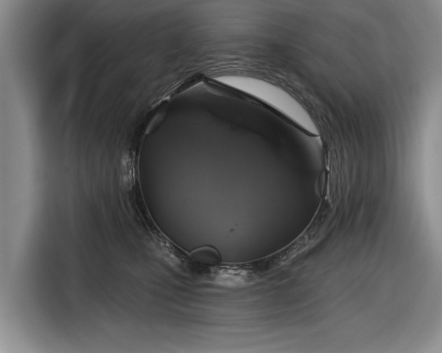 X0000116590471200912171557