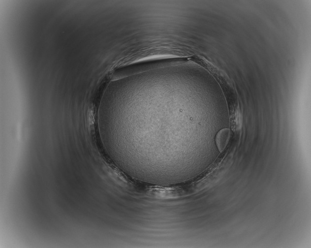 X0000116590472200912171557