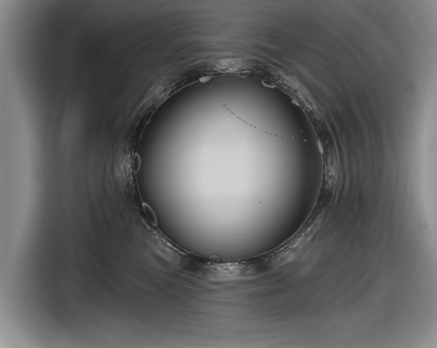 X0000116590473200912171557