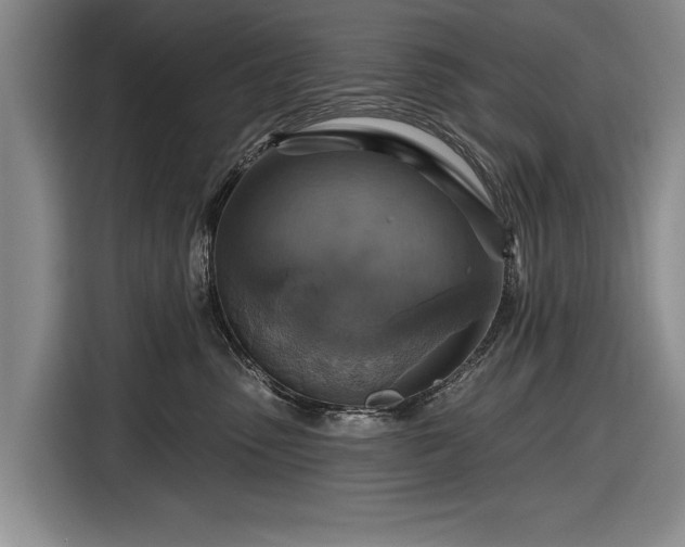 X0000116590475200912171557