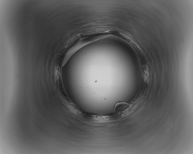 X0000116590476200912171557