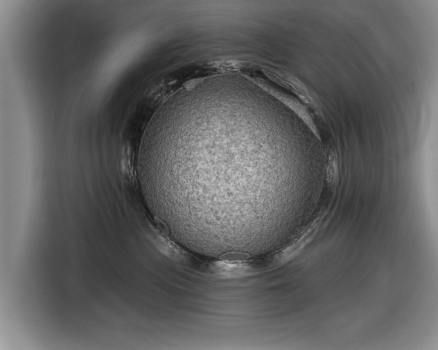 X0000116590477200912171557