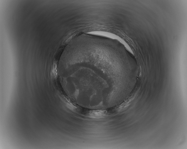 X0000116590479200912171557