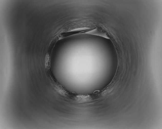 X0000116590480200912171557