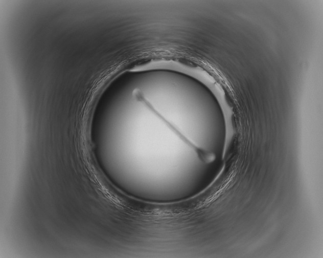 X0000116590481200912171556