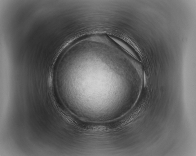 X0000116590483200912171556