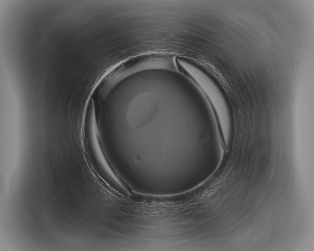 X0000116590484200912171556