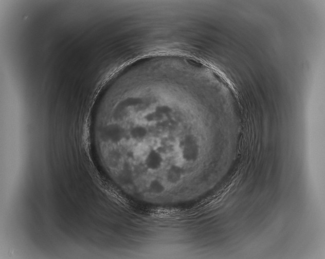 X0000116590487200912171556