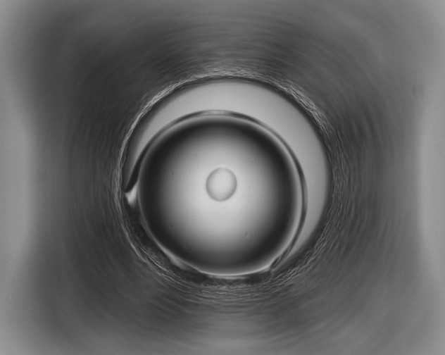 X0000116590488200912171556