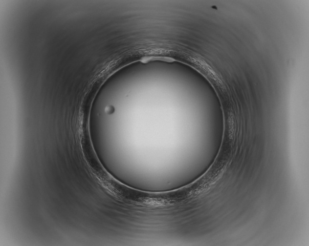 X0000116590490200912171556