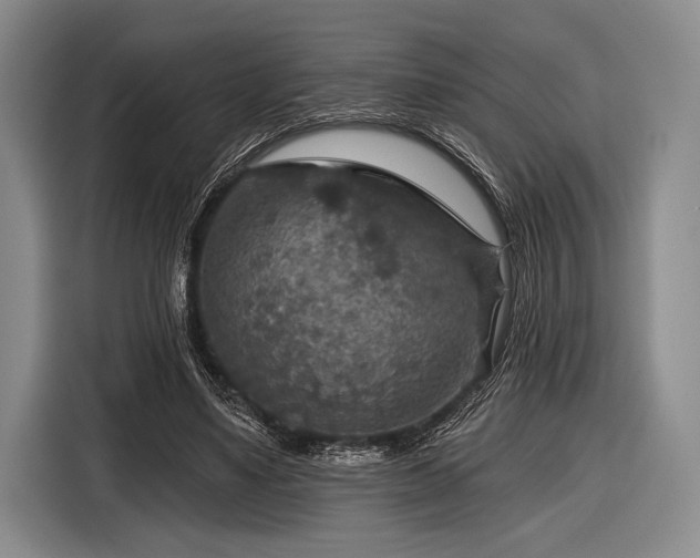 X0000116590491200912171556