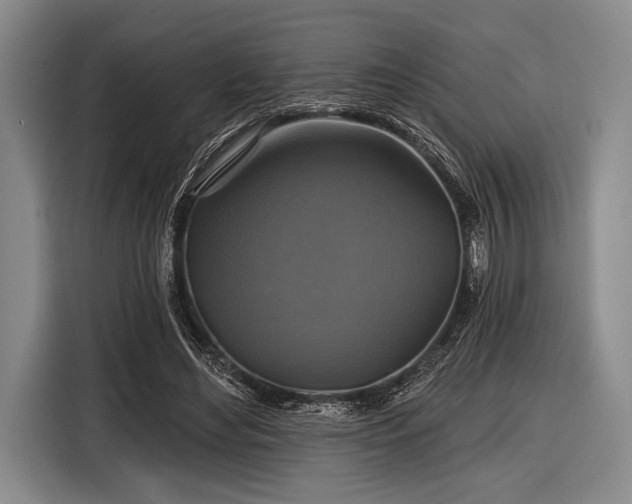 X0000116590492200912171556