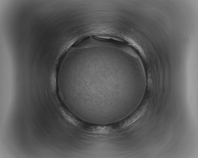 X0000116590493200912171556