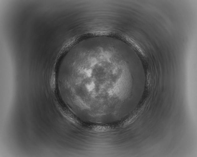 X0000116590494200912171556