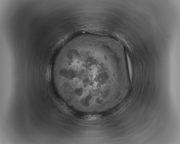 X0000116590495200912171556