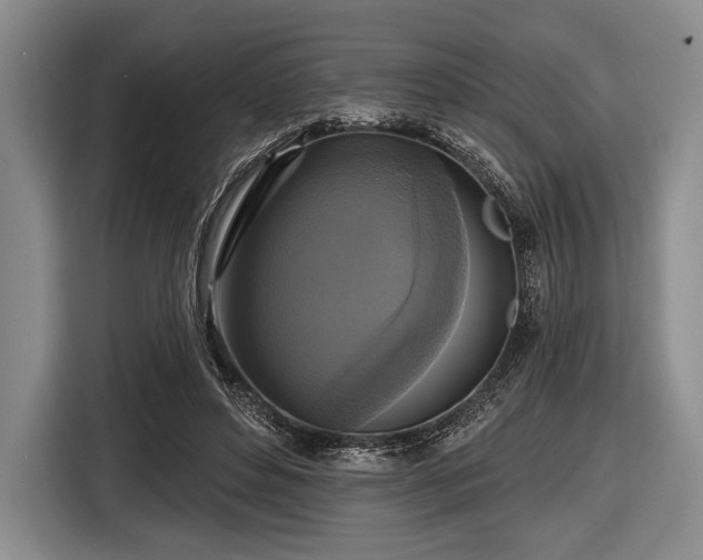 X0000116590496200912171556