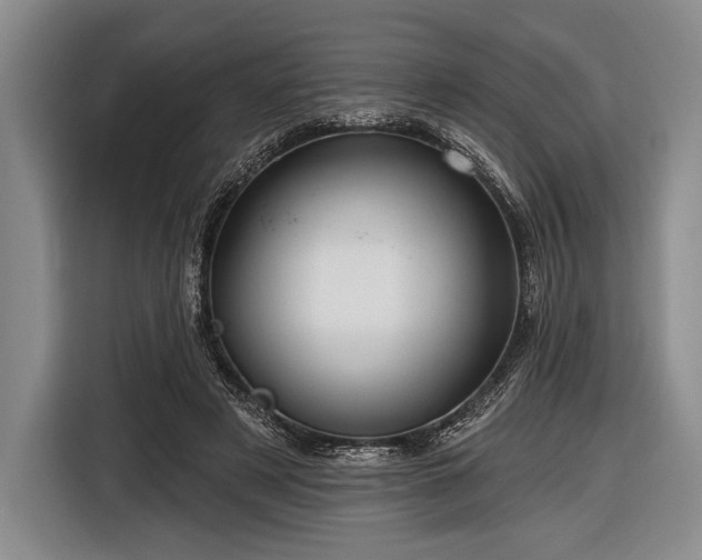 X0000116590497200912171556