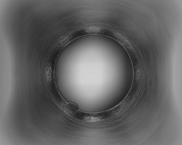 X0000116590498200912171556