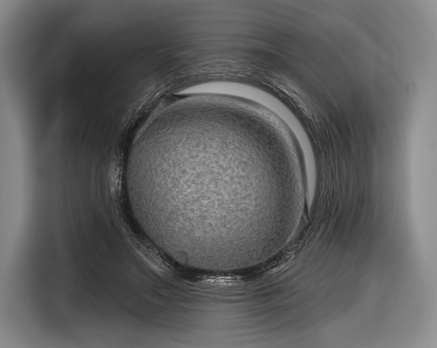 X0000116590499200912171556