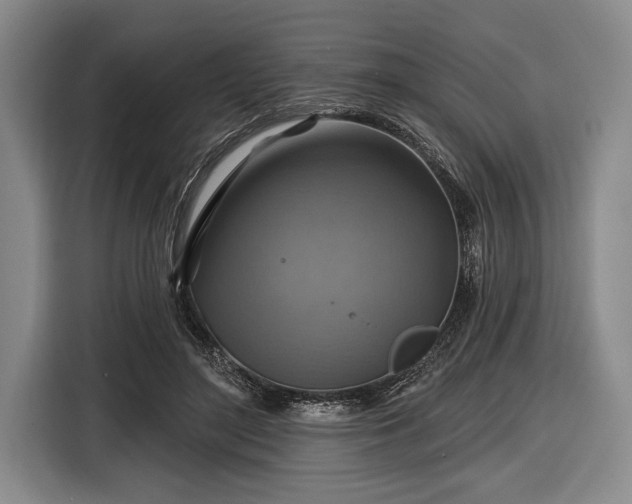 X0000116590500200912171556