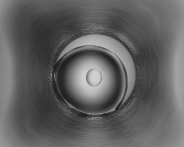 X0000116590501200912171556