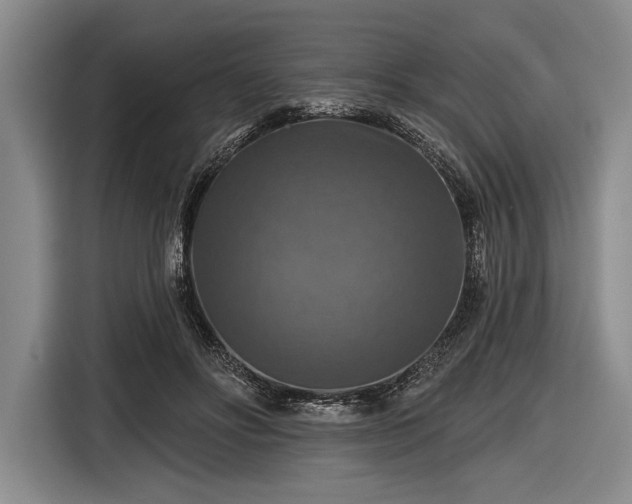 X0000116590502200912171556