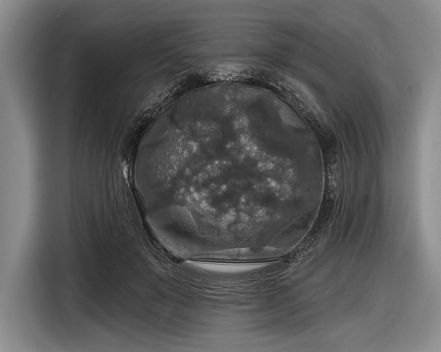 X0000116590503200912171556