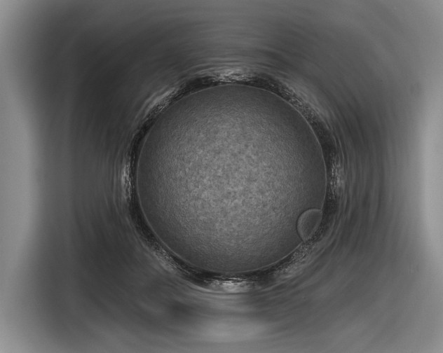 X0000116590506200912171556