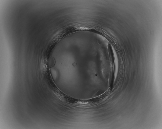 X0000116590507200912171556