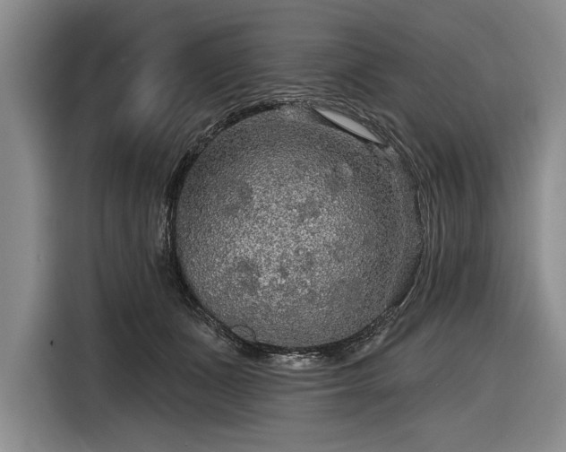 X0000116590511200912171556