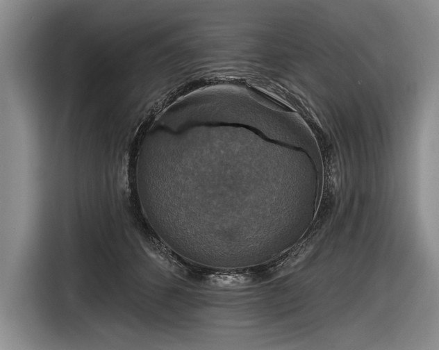 X0000116590512200912171556