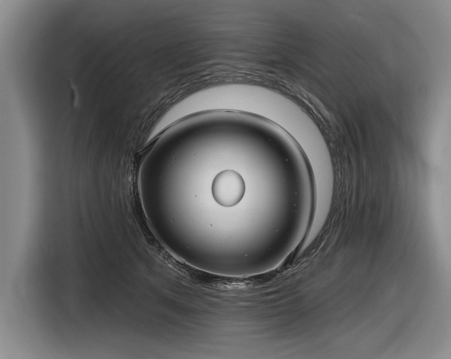 X0000116590513200912171556