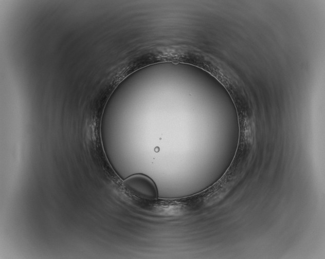 X0000116590514200912171556