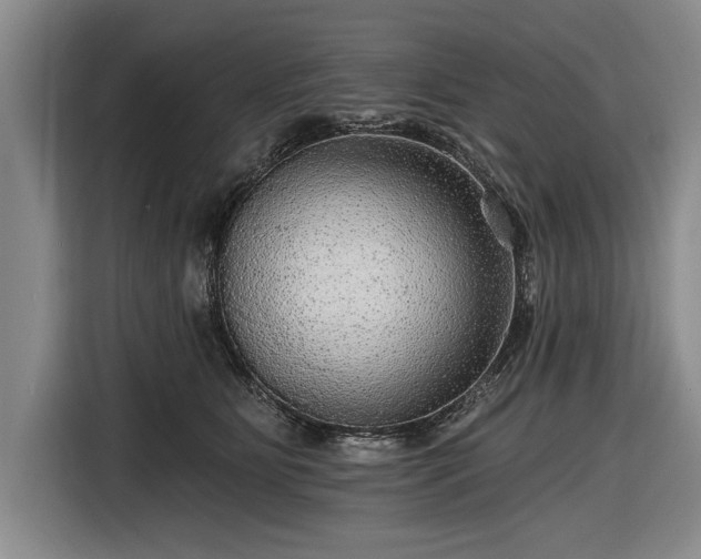 X0000116590515200912171556