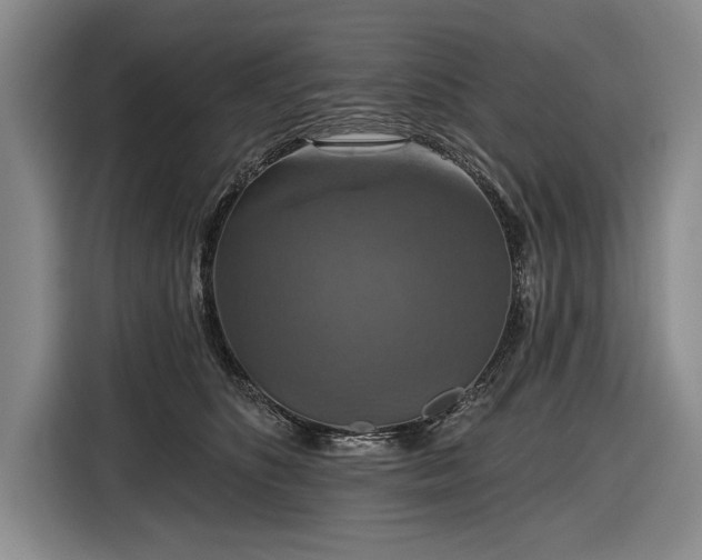 X0000116590516200912171556