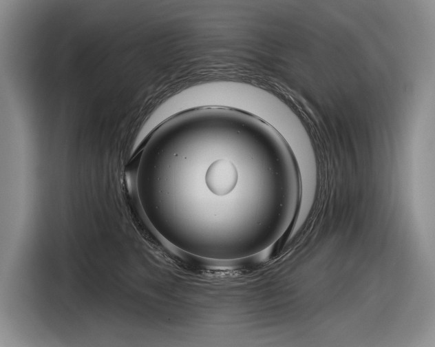 X0000116590517200912171556