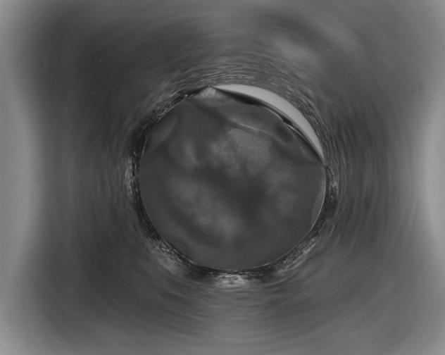 X0000116590519200912171556