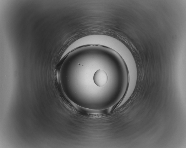 X0000116590521200912171556