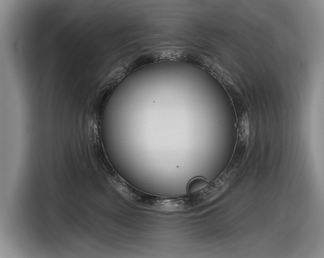 X0000116590522200912171556