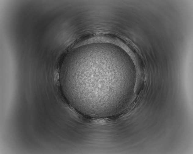 X0000116590523200912171556