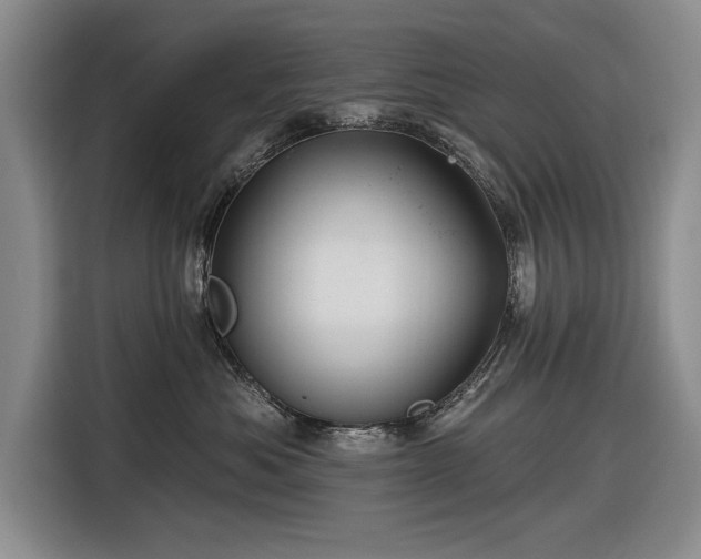 X0000116590525200912171556