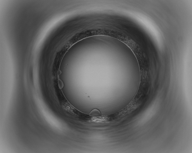 X0000116590526200912171556