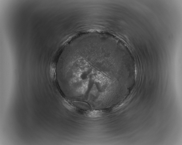 X0000116590527200912171556